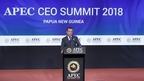 Dmitry Medvedev speaks at the APEC CEO Summit