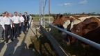 Дмитрий Медведев посетил крестьянско-фермерское хозяйство «ИП Ильченко Ю.В.»