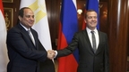 Встреча Дмитрия Медведева с Президентом Египта Абдельфаттахом Сиси