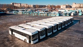 Новые автобусы, Ленинградская область