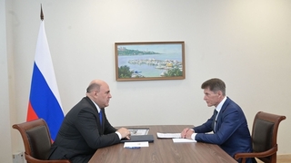 Беседа Михаила Мишустина с губернатором Приморского края Олегом Кожемяко