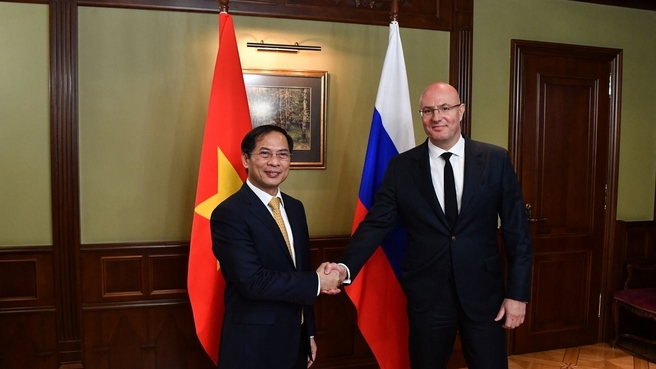 Dmitry Chernyshenko and Bui Thanh Son discuss Russian-Vietnamese investment projects