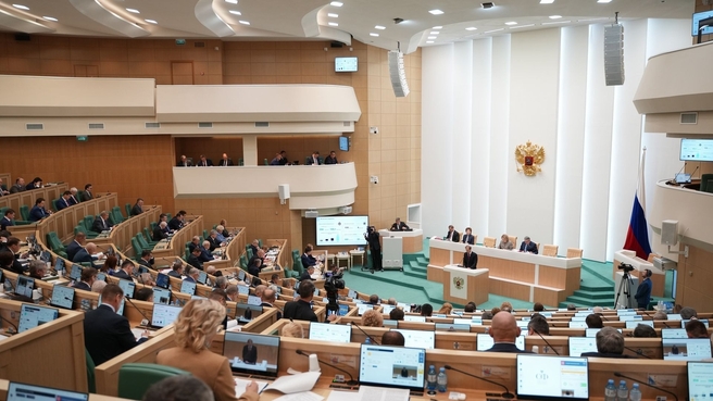 Денис Мантуров выступил на правительственном часе в Совете Федерации
