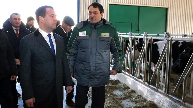 Посещение молочно-товарной фермы агрохолдинга «Кубань»