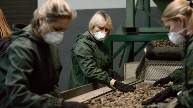 Виктория Абрамченко осмотрела объекты лесного хозяйства в ходе визита в Беларусь