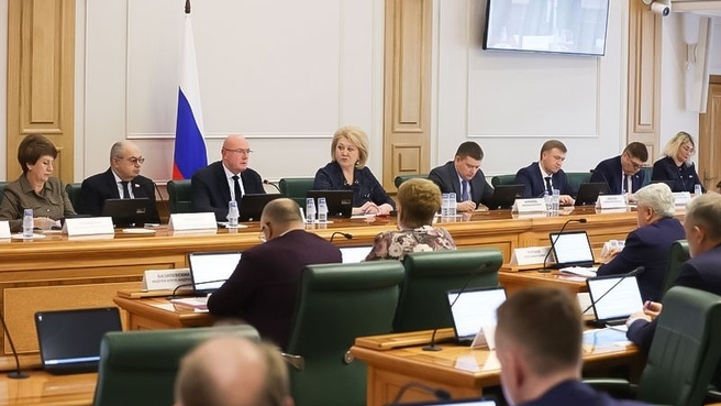 Дмитрий Чернышенко провёл встречу с представителями Комитета Совета Федерации по науке, образованию и культуре