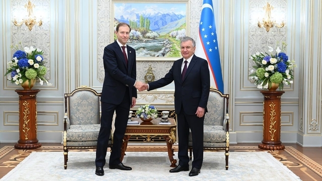 Денис Мантуров с Президентом Республики Узбекистан Шавкатом Мирзиёевым