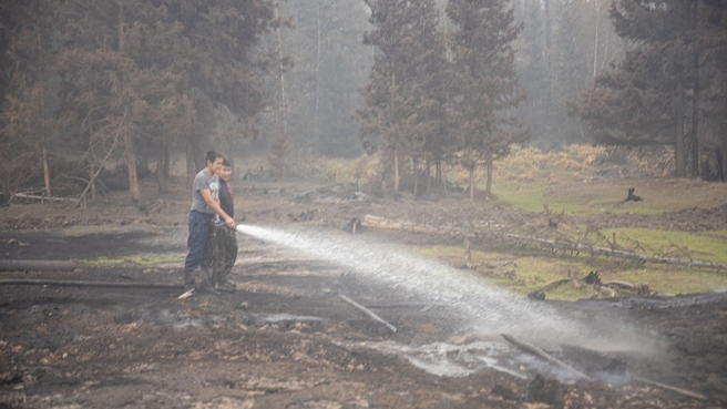 Последствия лесных пожаров в Якутии