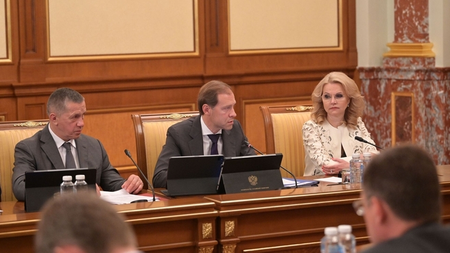 Доклад Дениса Мантурова на заседании Правительства, 28 июля 2022 года